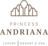 princess-andriana-logo-footer