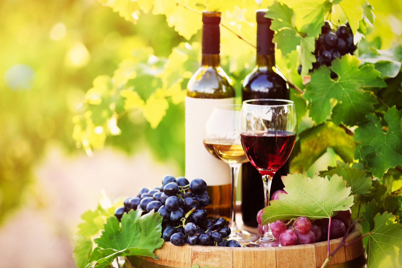 Rhodes wine Athiri and Amorgiano are the top varieties to discover during your visit.